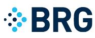 LE001 Berkeley Research Group, LLC logo